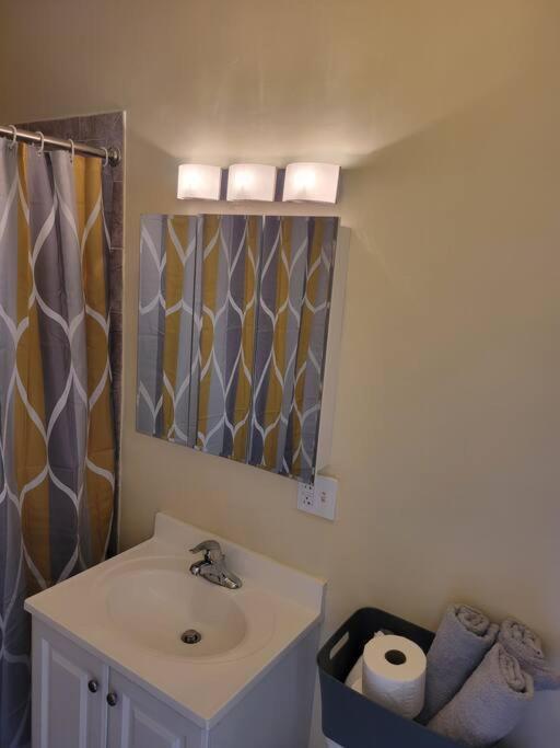 Charming 3Bd 2Bth Apartment Chicago Zewnętrze zdjęcie